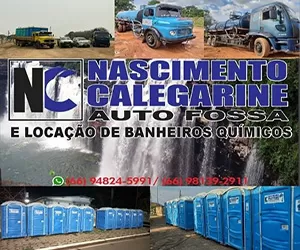 NC auto fossa