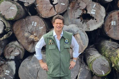 Cármen Lúcia autoriza abertura de inquérito para investigar ministro Ricardo Salles