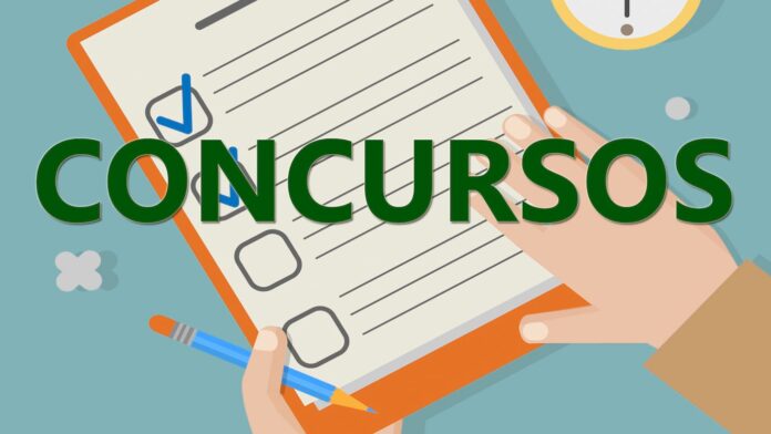 Concurso Público: 13 editais publicados entre 31 de maio a 4 de junho