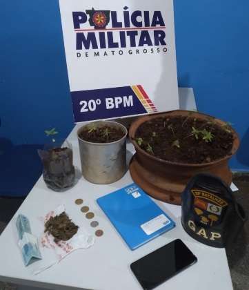 GAP apreende drogas e 23 pés de maconha em uma residência em Juína