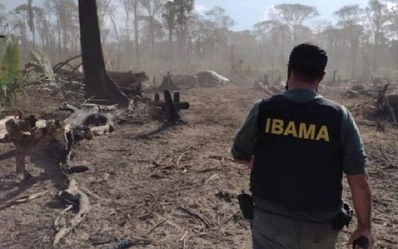 Piripkura: Justiça Federal determina retirada de invasores de terra indígena em MT