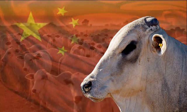 CHINA LIBERA ENTRADA DE LOTE DE CARNE BRASILEIRA