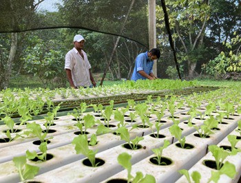 Nexa realiza workshop sobre Agricultura Familiar em Aripuanã