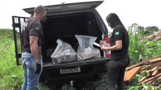 Polícia Civil Regional de Juína incinera mais de 140 quilos de drogas