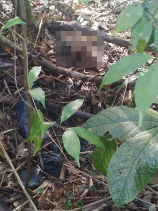 Ossada humana encontrada na zona rural de Juína é identificada