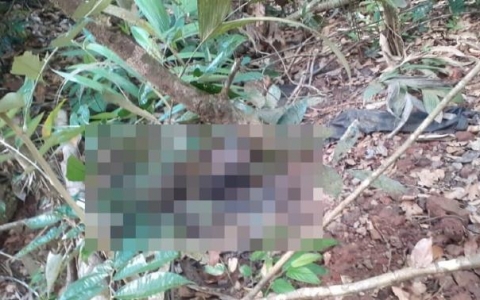 Corpo com as mãos amarradas é encontrado em avançado estado de decomposição em Aripuanã