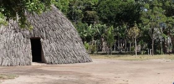 Tribunal Regional Eleitoral autoriza instalação de seção eleitoral em terra indígena Enawenê-Nawê na região de Juína