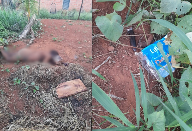 Mulher transexual é assassinada com seis facadas e pancada com pedaço de concreto