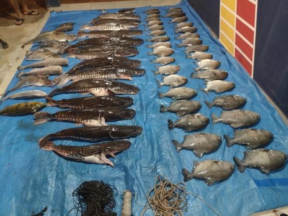 Polícia Militar Ambiental apreende peixes e apetrechos de pesca em Aripuanã
