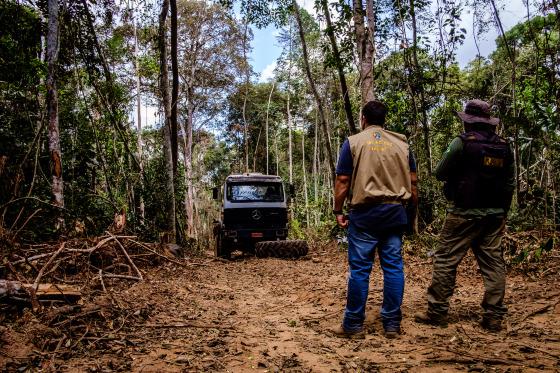 Mato Grosso é o estado que mais age no combate ao desmatamento, aponta MapBiomas