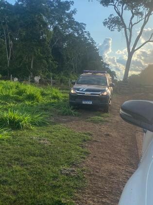 Polícia Civil cumpre buscas para identificar responsável pela decapitação de filhotes de onça-pintada