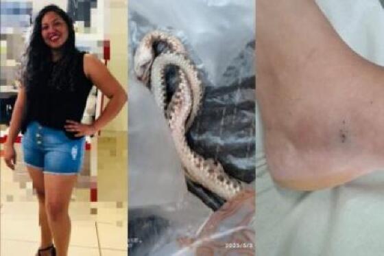 Mulher morre após ser picada por cobra em Chapada dos Guimarães
