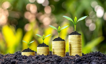 Plano Safra 2022/2023 recebe crédito extra de R$ 200 milhões