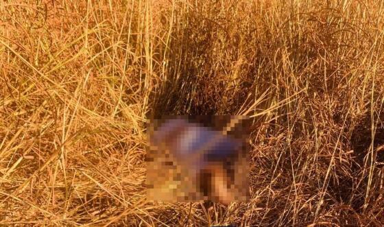 Polícia Civil esclarece homicídio em Brasnorte com prisão de três envolvidos no crime