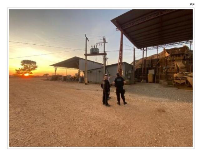 PF desarticula quadrilha que lucrou quase R$ 3 bi com extração ilegal de ouro; veja vídeos