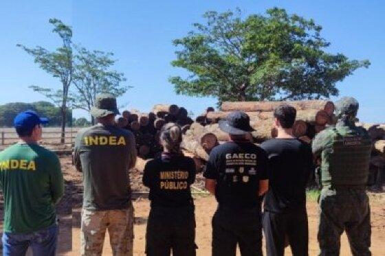Por esquema de R$ 67 mi, Gaeco faz batida em 7 fazendas e confisca madeira