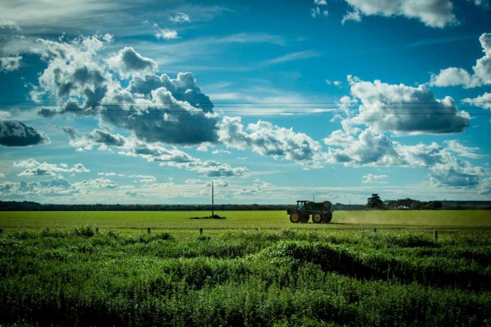 Produtores rurais de MT são destaque nacional por darem “exemplo de respeito ao meio ambiente”