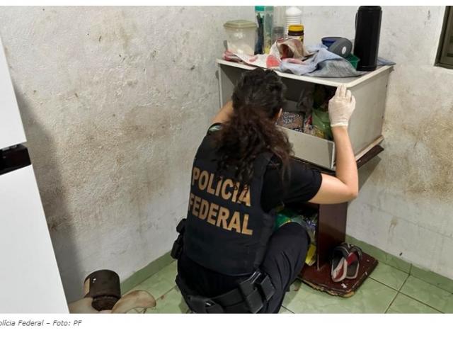 PF prende homem que armazenava 243 arquivos de pornografia infantil no celular