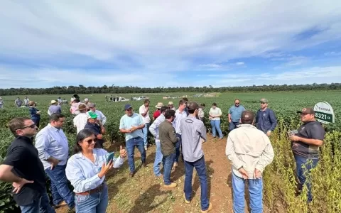 2ª Edição do Tour Técnico reúne mais de 100 pessoas em Aripuanã