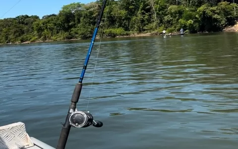 Pesca volta a ser autorizada nos rios de Mato Grosso a partir deste sábado (1º)
