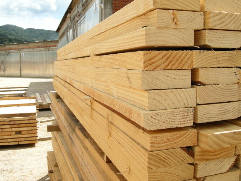 Exportação brasileira de madeira aumenta 22 por cento em novembro e 47 por cento em dezembro