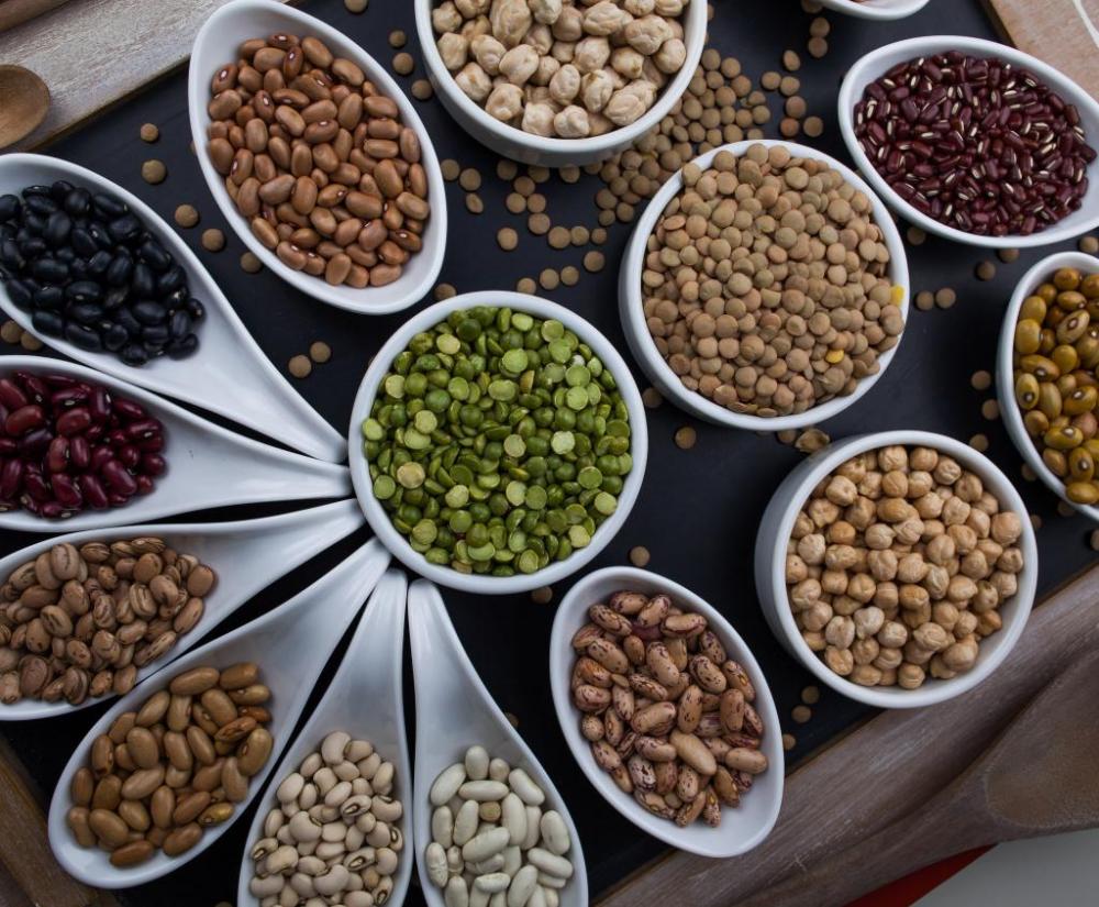 Governo aprova inclusão de novos produtos e cadeias no Programa de Desenvolvimento Rural do Mato Grosso