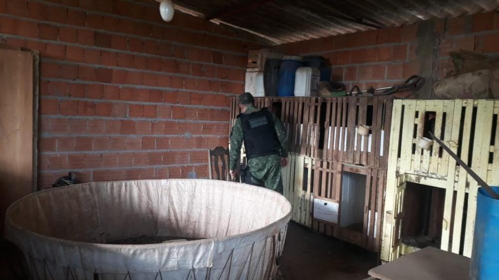 Operação do Batalhão Ambiental prende suspeitos, fecha rinha de galo e apreende pescado