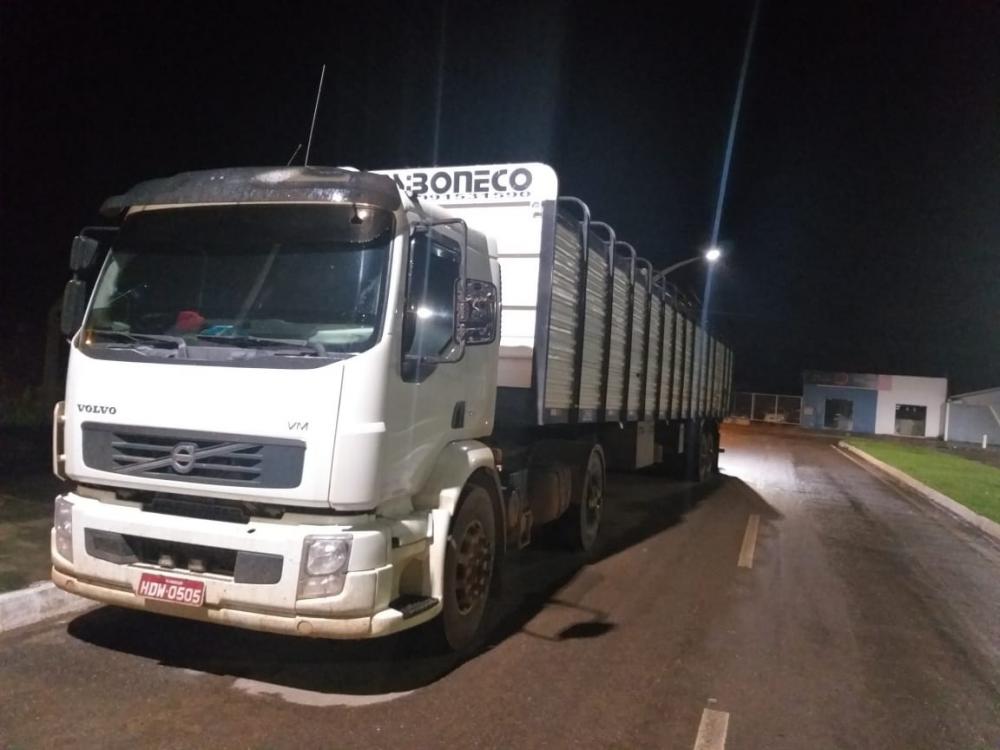 Ação integrada resulta na recuperação de 115 cabeças de gado roubadas de propriedade no interior de MT