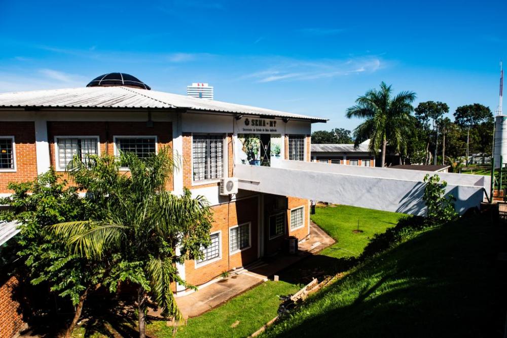 Processos de manejo e remoção da fauna passam por modificações nas análises; entenda