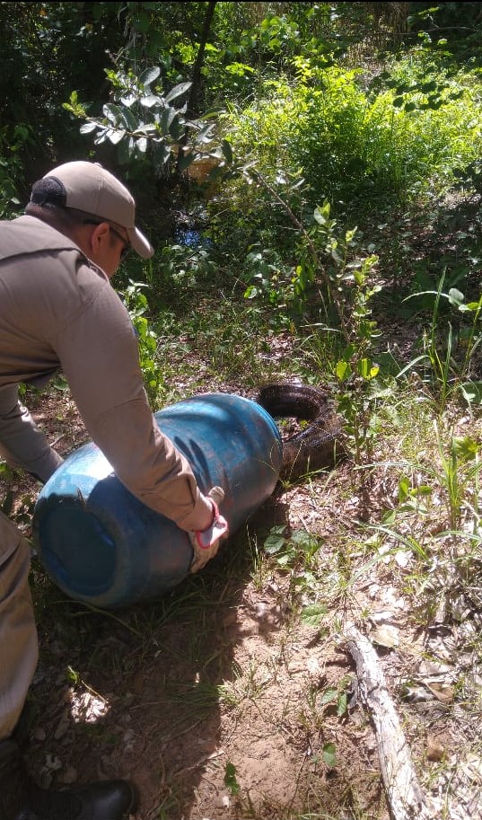Corpo de Bombeiros Militar de Várzea Grande captura sucuri de 7 metros