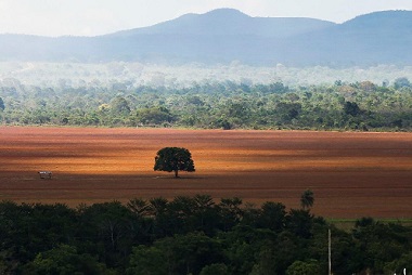 MPMT intensificará atuação na área criminal para coibir desmatamentos