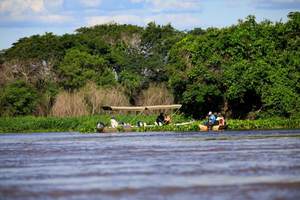 Saiba o que o Governo de Mato Grosso fez após os incêndios no Pantanal