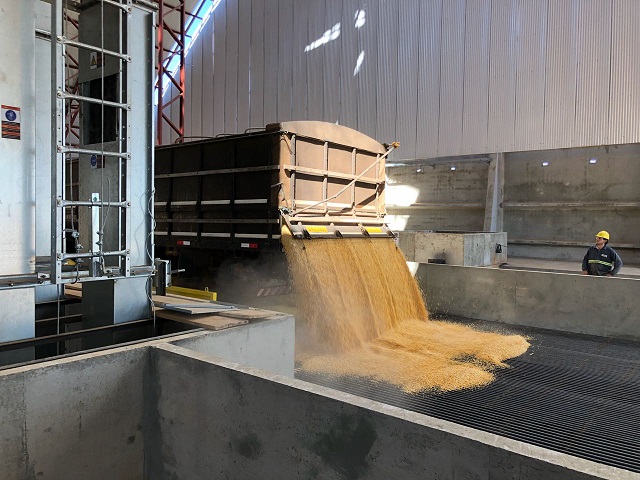 Valor Bruto da Produção pode atingir R$ 1 trilhão até o fim deste ano