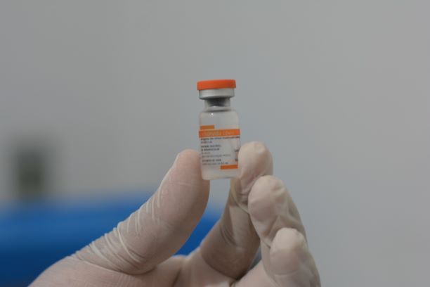 Covid-19: cronograma do governo prevê entregas de vacinas para 2021