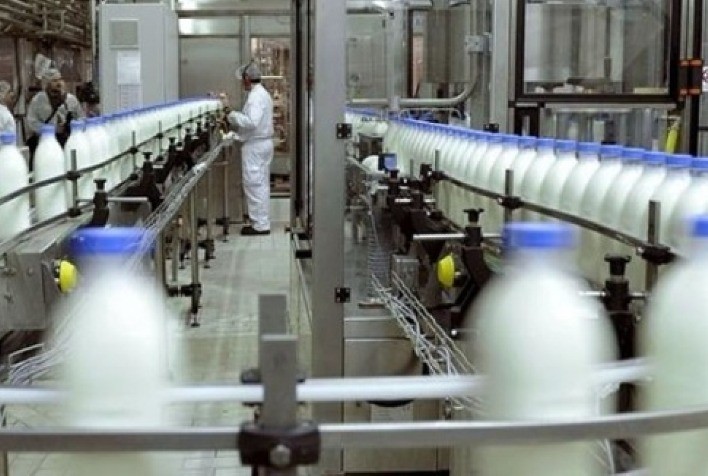 Exportação de produtos lácteos cresce mais de 50%