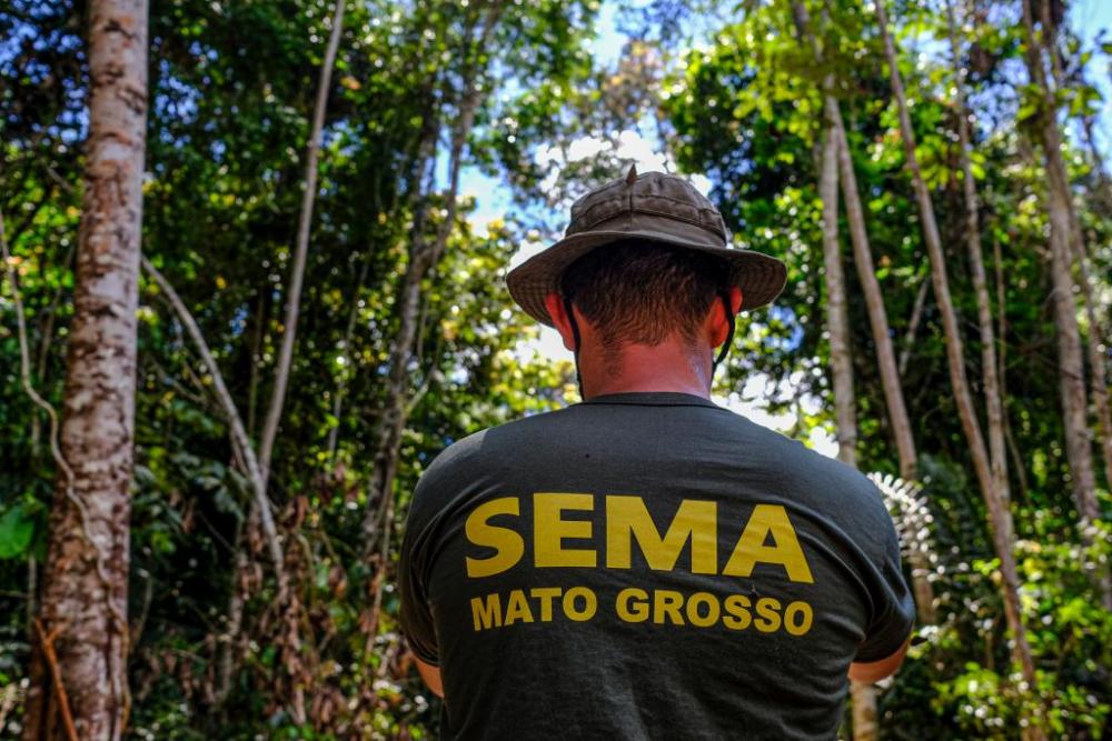 Mato Grosso apresenta redução de 31,5% nos alertas de desmatamento nos últimos 6 meses