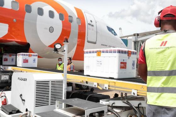 Mato Grosso recebe 55,6 mil doses da CoronaVac nesta quarta-feira (17)