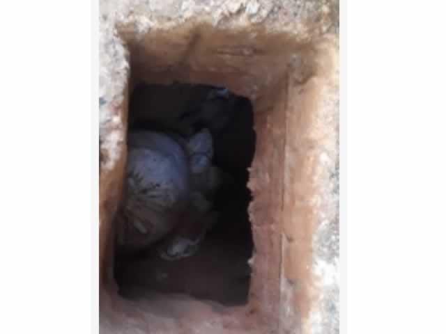 Policiais penais encontram novo túnel na Penitenciária em Sinop