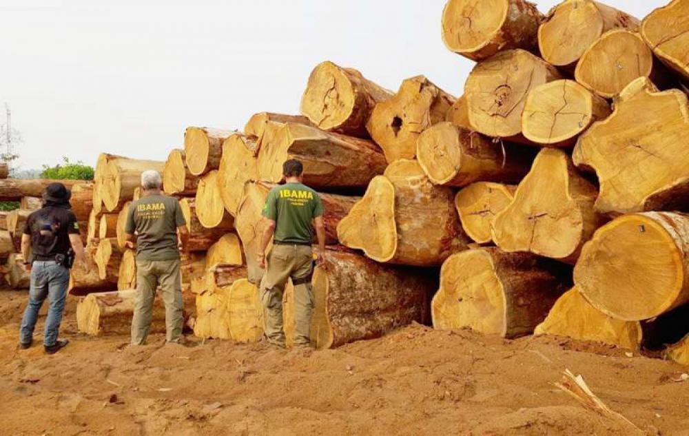Após ordem da Justiça, Ibama restabelece regra sobre exportação de madeira